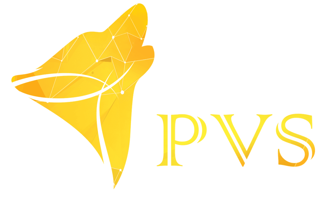 PVS Solution